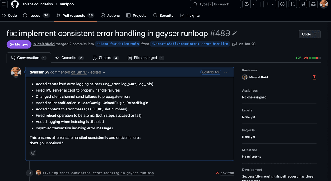 solana-foundation/Surfpool PR #489 preview